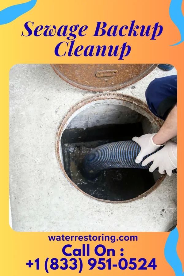 Sewage Backup Cleanup in Shirley, IN